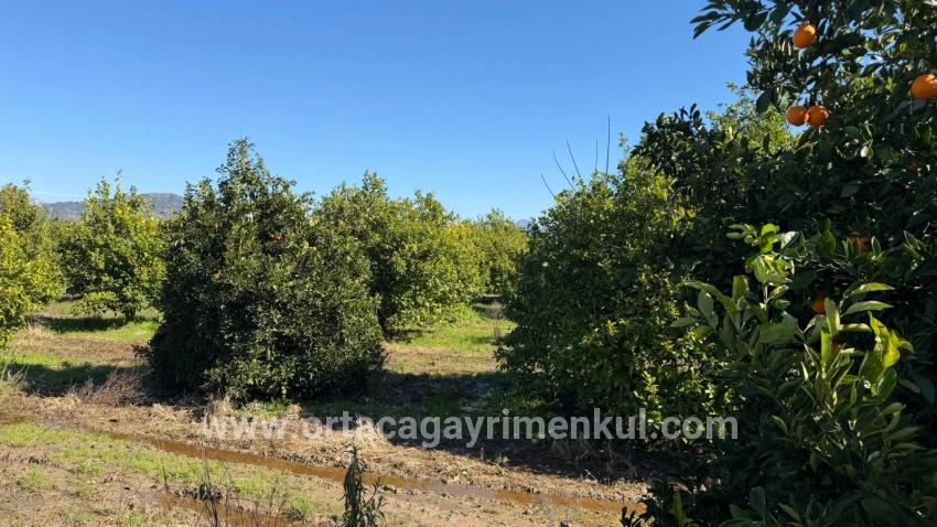 Ortaca Okçular Mah. Satılık Arsa - Konut İmar Durumlu - 2.218 m²