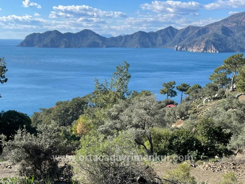 Köyceğiz Çandır Mah. Satılık Tarla - Tarla İmar Durumlu - 20.000 m²