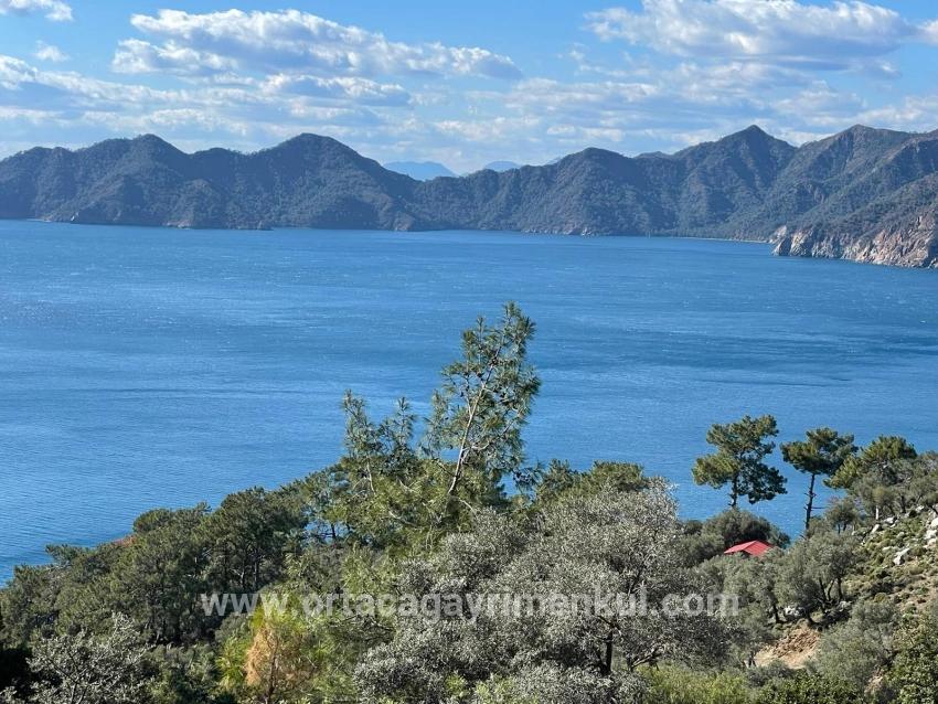 Köyceğiz Çandır Mah. Satılık Tarla - Tarla İmar Durumlu - 20.000 m²