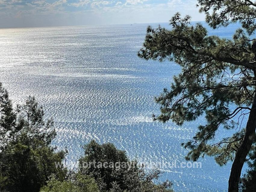 Köyceğiz Çandır Mah. Satılık Tarla - Tarla İmar Durumlu - 20.000 m²