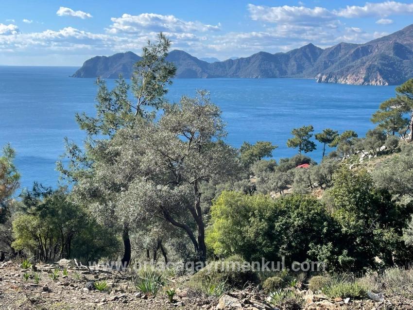 Köyceğiz Çandır Mah. Satılık Tarla - Tarla İmar Durumlu - 20.000 m²