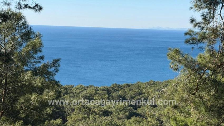 Köyceğiz Çandır Mah. Satılık Tarla - Konut İmar Durumlu - 5.715 m²