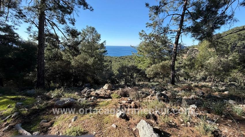 Köyceğiz Çandır Mah. Satılık Tarla - Konut İmar Durumlu - 5.715 m²