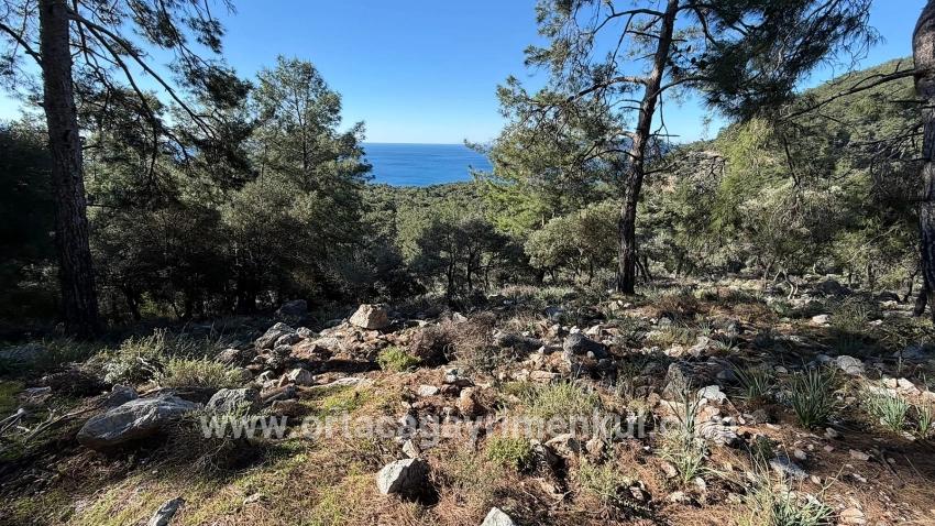 Köyceğiz Çandır Mah. Satılık Tarla - Konut İmar Durumlu - 5.715 m²