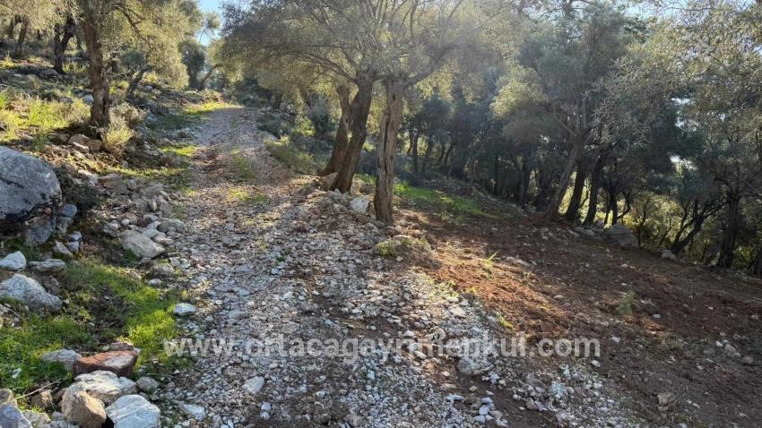 Köyceğiz Çandır Mah. Satılık Tarla - Konut İmar Durumlu - 5.715 m²