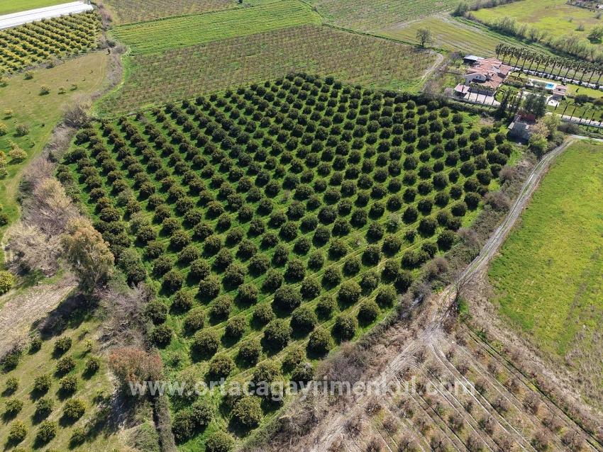 Ortaca Dalyan Mah. Satılık Bağ & Bahçe - Bağ & Bahçe İmar Durumlu - 17.550 m²