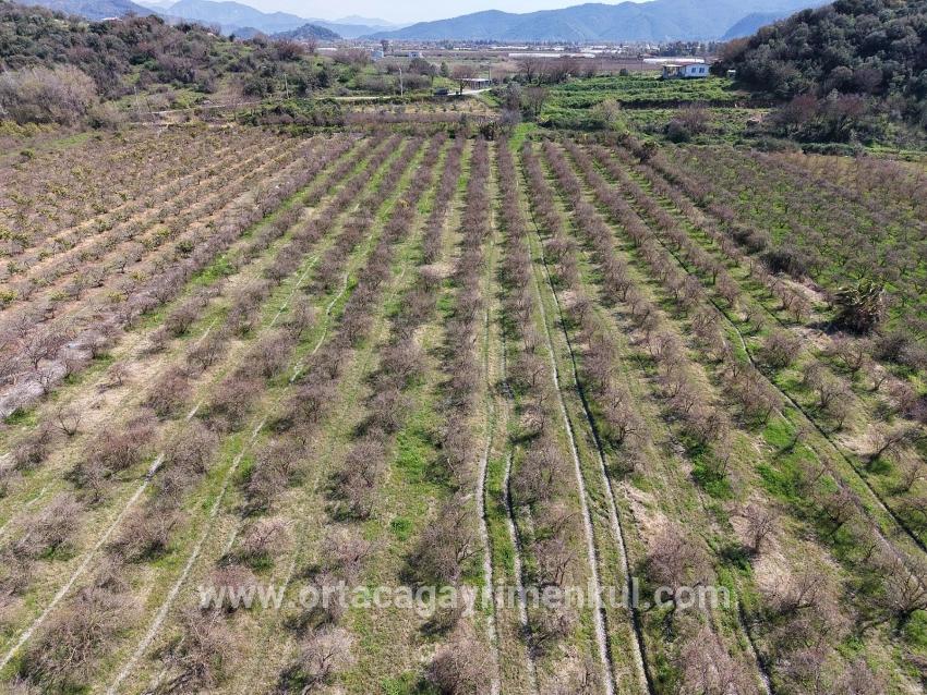 Ortaca Eskiköy Mah. Satılık Tarla - Tarla İmar Durumlu - 16.710 m²