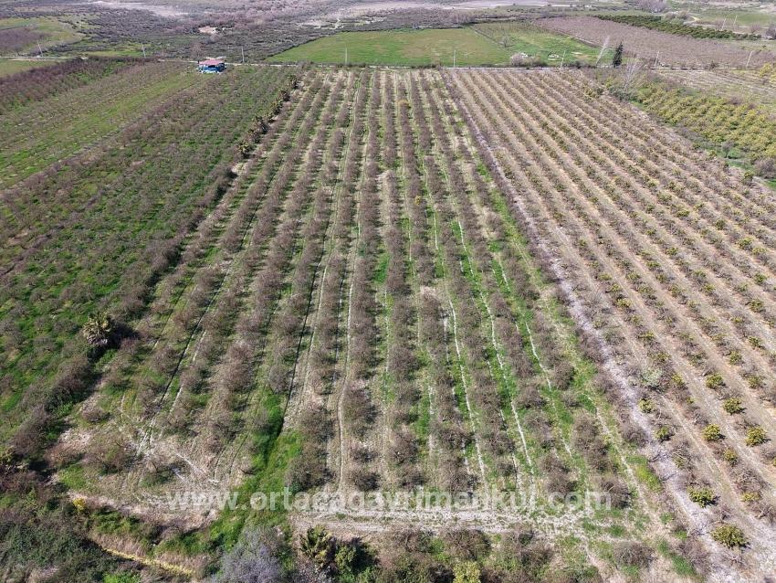 Ortaca Eskiköy Mah. Satılık Tarla - Tarla İmar Durumlu - 16.710 m²