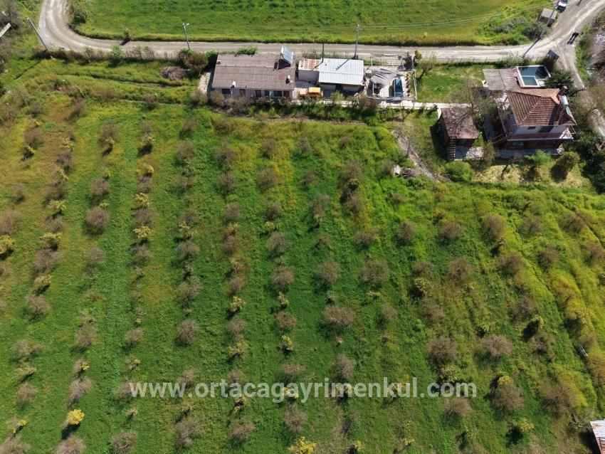 Ortaca Eskiköy Mah. Satılık Pansiyon - 11.000 m²