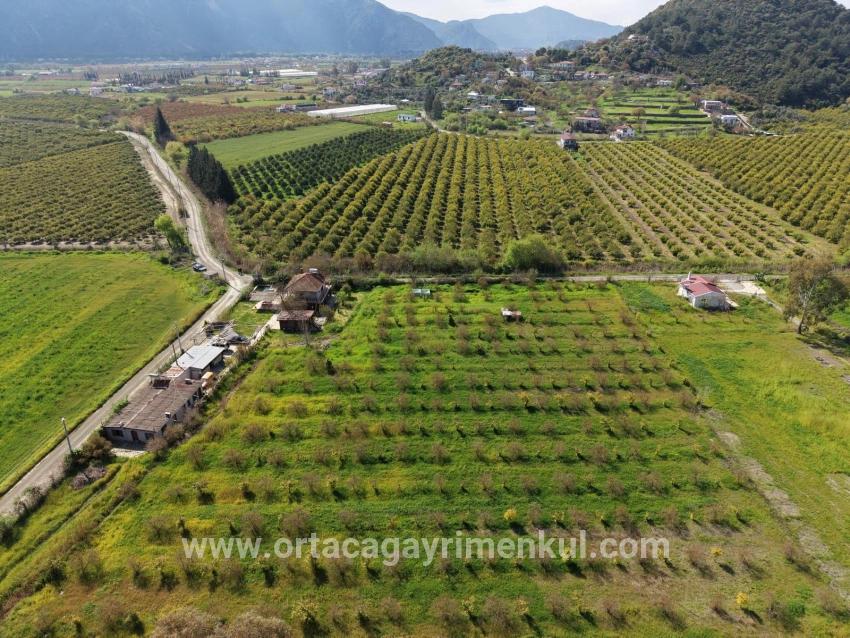 Ortaca Eskiköy Mah. Satılık Pansiyon - 11.000 m²