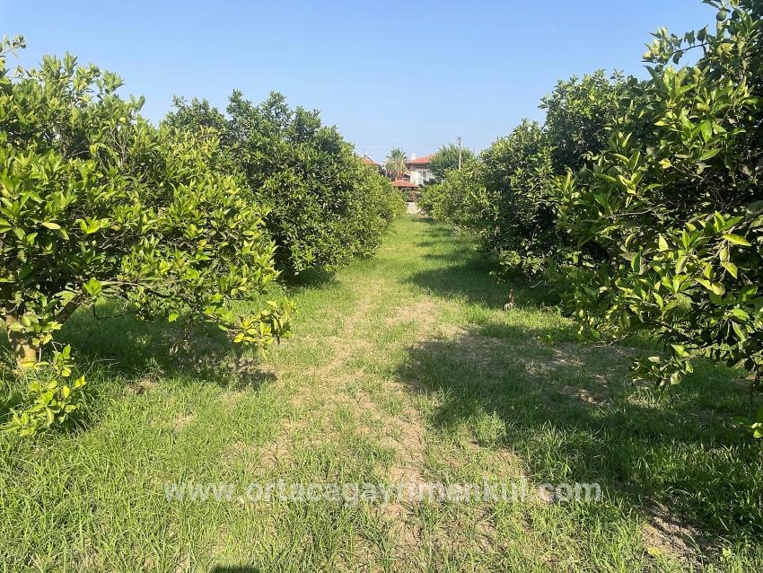 Ortaca Dalyan Mah. Satılık Arsa - Konut İmar Durumlu - 722 m²