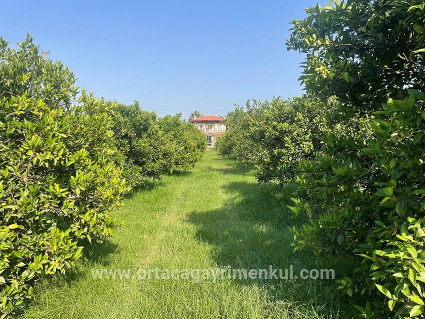 Ortaca Dalyan Mah. Satılık Arsa - Konut İmar Durumlu - 722 m²