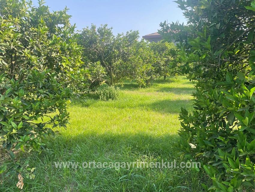 Ortaca Dalyan Mah. Satılık Arsa - Konut İmar Durumlu - 722 m²