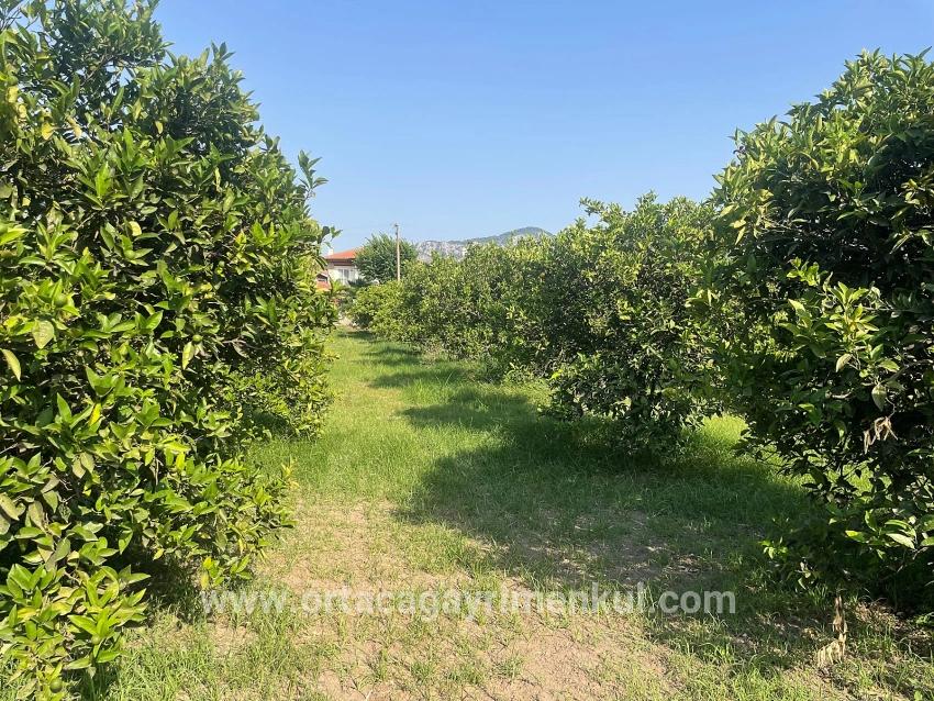 Ortaca Dalyan Mah. Satılık Arsa - Konut İmar Durumlu - 722 m²