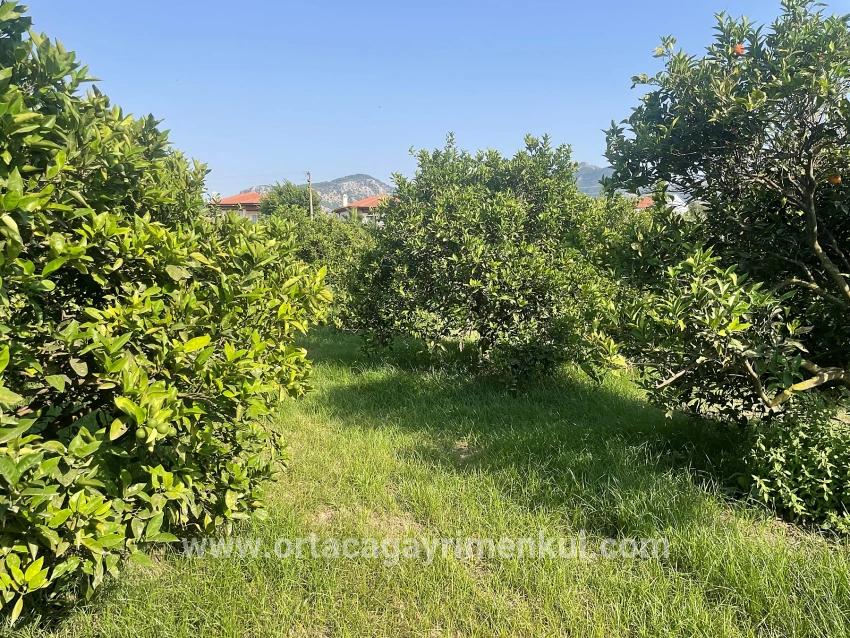 Ortaca Dalyan Mah. Satılık Arsa - Konut İmar Durumlu - 722 m²