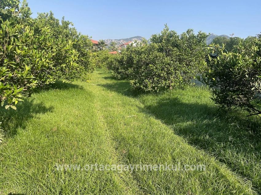 Ortaca Dalyan Mah. Satılık Arsa - Konut İmar Durumlu - 722 m²