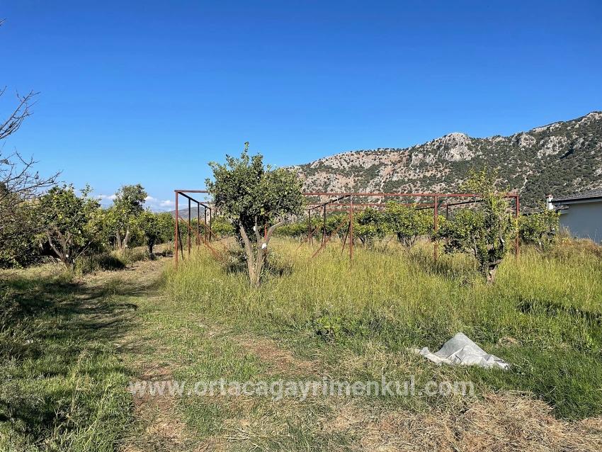 Ortaca Dalyan Mah. Satılık Tarla - Tarla İmar Durumlu - 6.600 m²