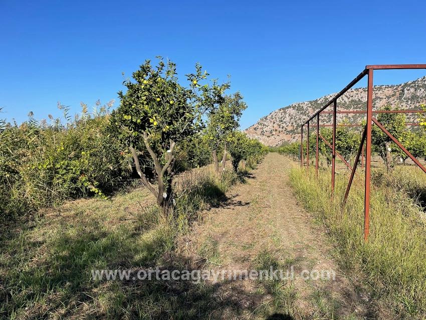 Ortaca Dalyan Mah. Satılık Tarla - Tarla İmar Durumlu - 6.600 m²