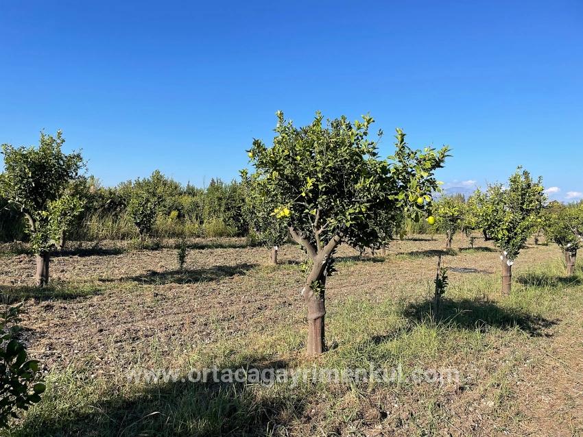 Ortaca Dalyan Mah. Satılık Tarla - Tarla İmar Durumlu - 6.600 m²