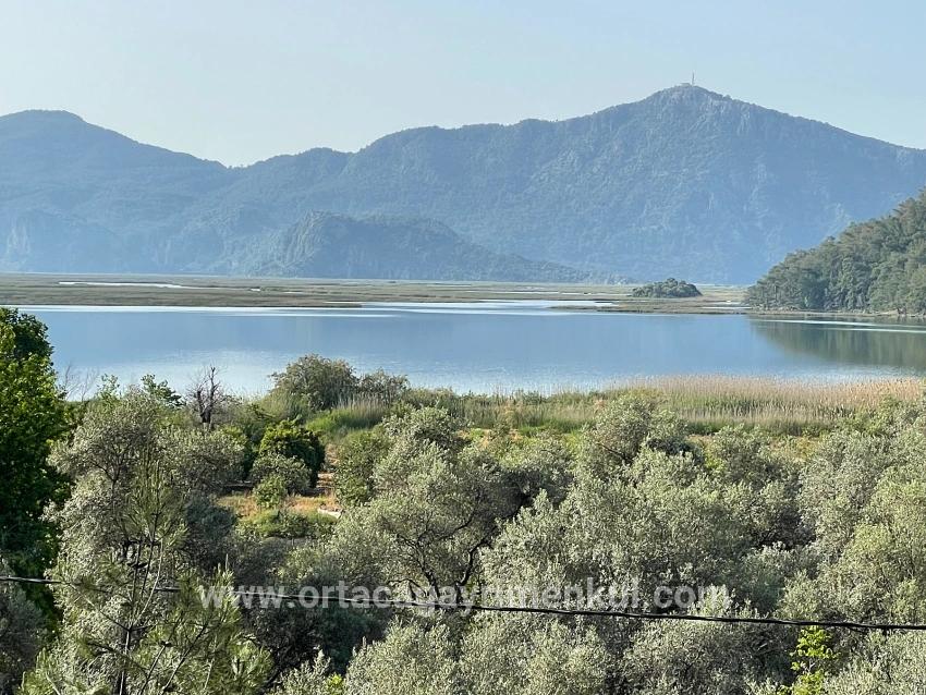 Köyceğiz Çandır Mah. Satılık Tarla - Tarla İmar Durumlu - 1.252 m²