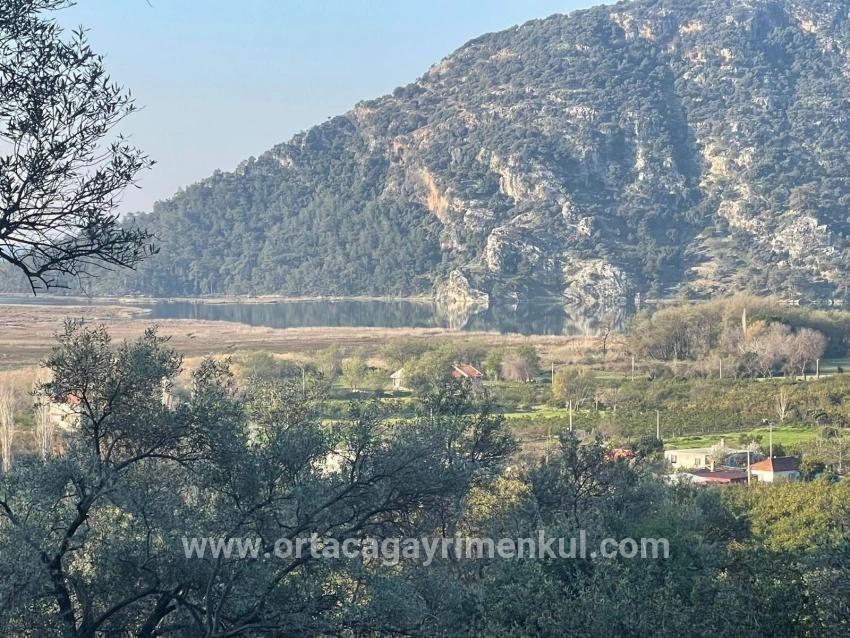 Köyceğiz Çandır Mah. Satılık Tarla - Tarla İmar Durumlu - 1.252 m²