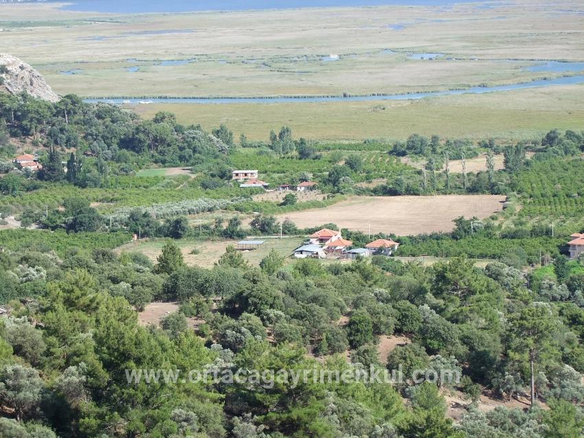 Köyceğiz Çandır Mah. Satılık Tarla - Tarla İmar Durumlu - 1.252 m²