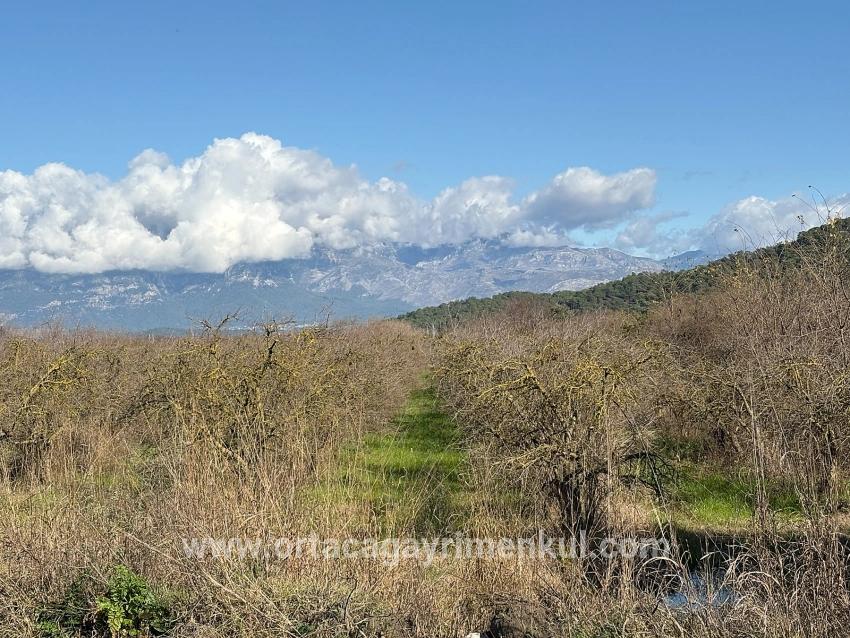 Ortaca Tepearası Mah. Satılık Tarla - Bağ & Bahçe İmar Durumlu - 23.000 m²