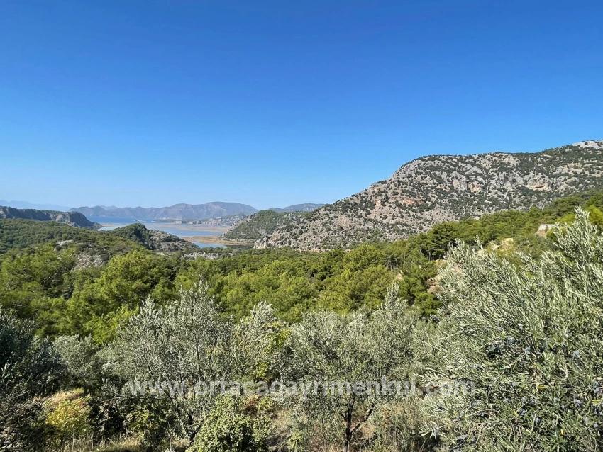 Ortaca Gökbel Mah. Satılık Arsa - Konut İmar Durumlu - 3.514 m²