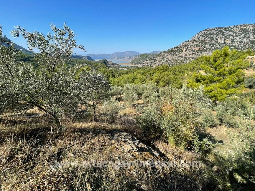 Ortaca Gökbel Mah. Satılık Arsa - Konut İmar Durumlu - 3.514 m²