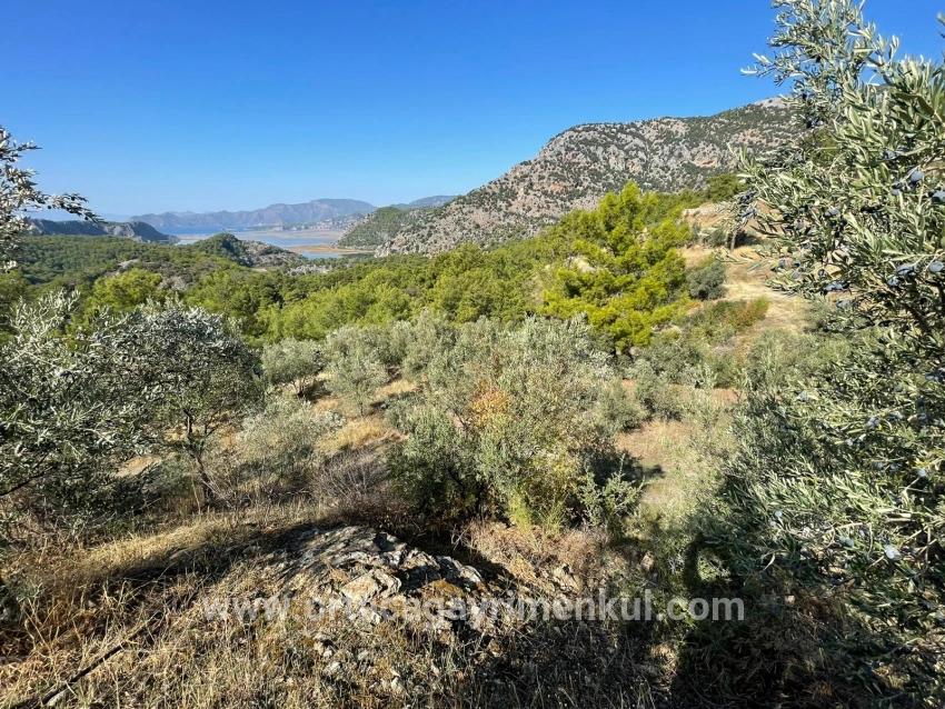 Ortaca Gökbel Mah. Satılık Arsa - Konut İmar Durumlu - 3.514 m²