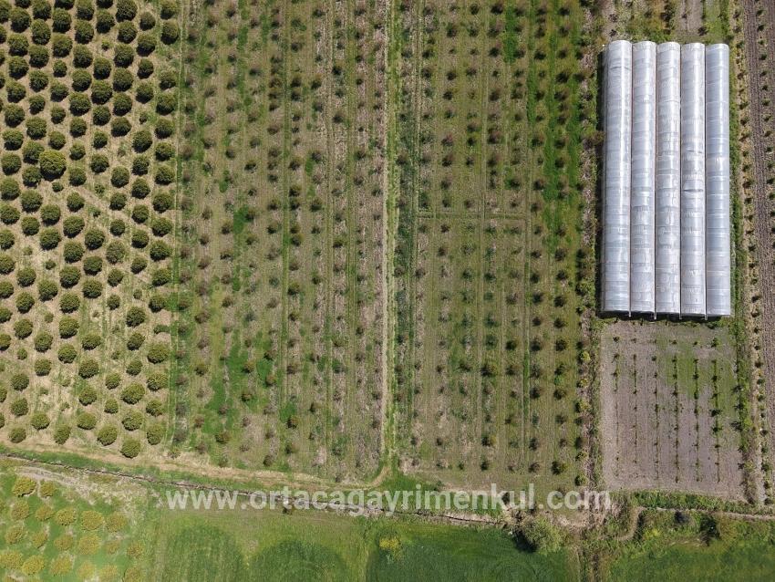 Ortaca Eskiköy Mah. Satılık Tarla - Tarla İmar Durumlu - 16.000 m²