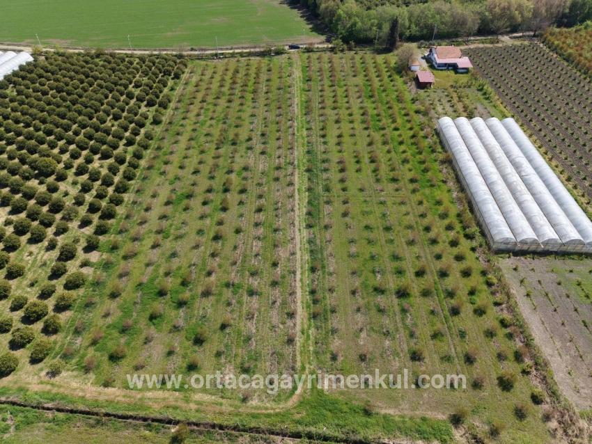 Ortaca Eskiköy Mah. Satılık Tarla - Tarla İmar Durumlu - 16.000 m²