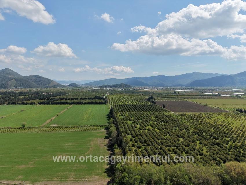 Ortaca Eskiköy Mah. Satılık Tarla - Tarla İmar Durumlu - 16.000 m²