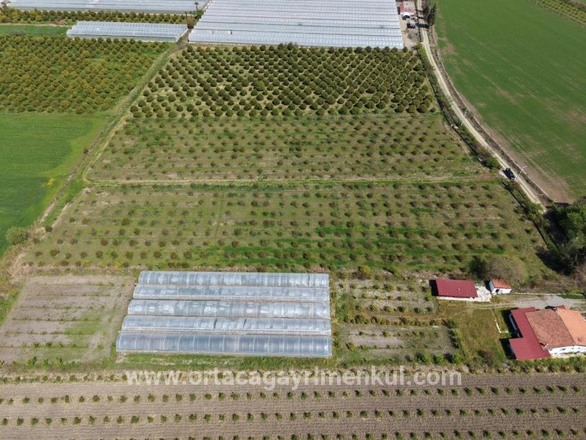 Ortaca Eskiköy Mah. Satılık Tarla - Tarla İmar Durumlu - 16.000 m²