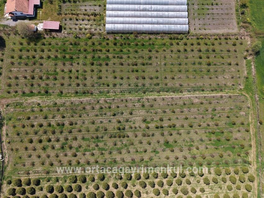 Ortaca Eskiköy Mah. Satılık Tarla - Tarla İmar Durumlu - 16.000 m²