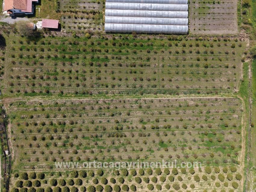 Ortaca Eskiköy Mah. Satılık Tarla - Tarla İmar Durumlu - 16.000 m²